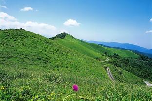 半岛登陆体育注册